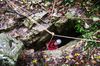 2013__10_frz_Jura_066.jpg im Album frz Jura, Herbst 2013